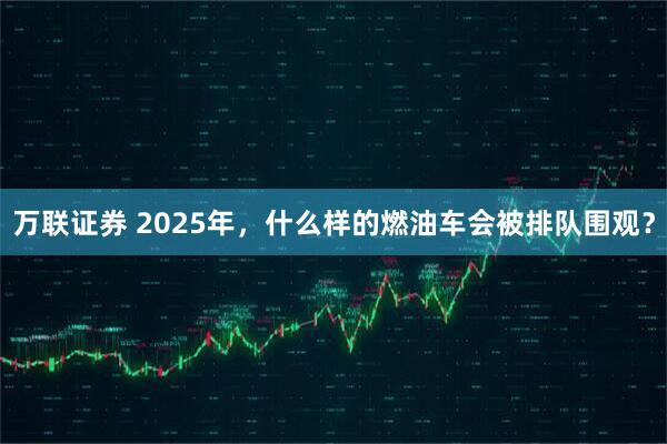 万联证券 2025年，什么样的燃油车会被排队围观？