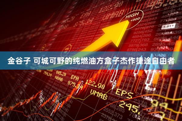 金谷子 可城可野的纯燃油方盒子杰作捷途自由者