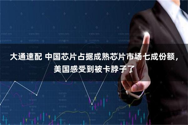 大通速配 中国芯片占据成熟芯片市场七成份额，美国感受到被卡脖子了