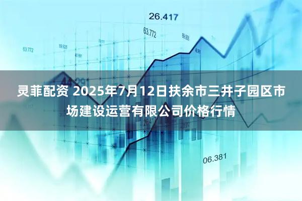 灵菲配资 2025年7月12日扶余市三井子园区市场建设运营有限公司价格行情