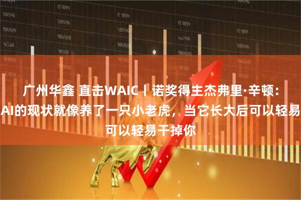 广州华鑫 直击WAIC丨诺奖得主杰弗里·辛顿：人类和AI的现状就像养了一只小老虎，当它长大后可以轻易干掉你